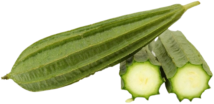 sponge gourd