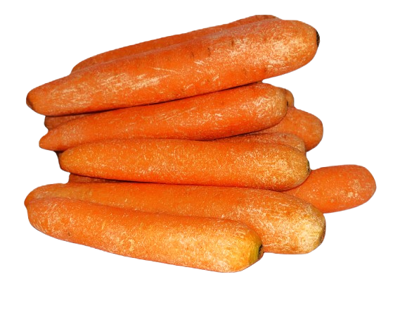 Orange carrot
