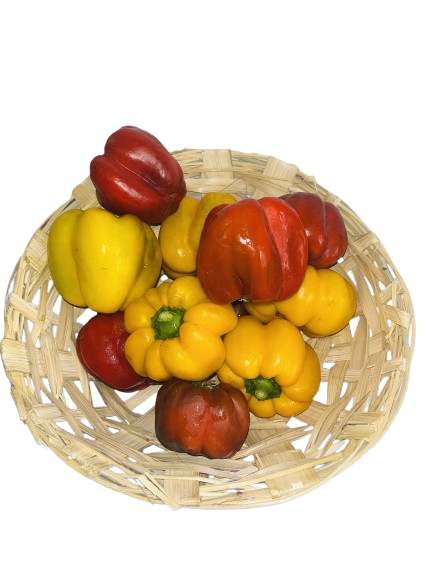 Red Yellow capsicum