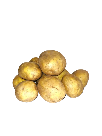 Potato