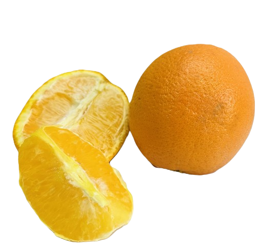 Importent orange